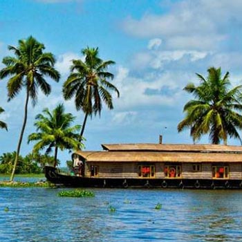 Kerala Tour - Cochin - Munnar Kerala Tour - Cochin - Munnar Image