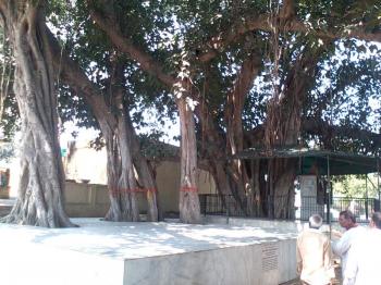 Shri Braj Mandal 84 Kos Yatra Package - Vrindavan, Shri Braj Mandal 84 Kos Yatra Package - Vrindavan, Image