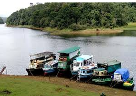 7N 8D Cochin - Munnar - Thekkady - Alleppey - Kovalam Tour